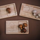 Jumbo Wooden Counting Trays