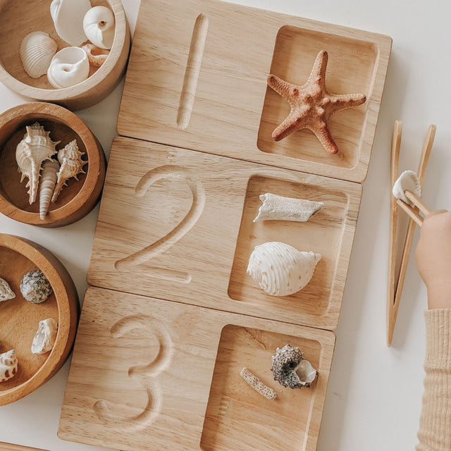 Jumbo Wooden Counting Trays