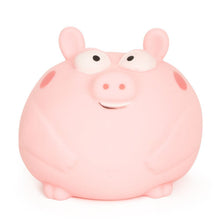 The Big Squij Pig *Feb 2027 Pre Order*