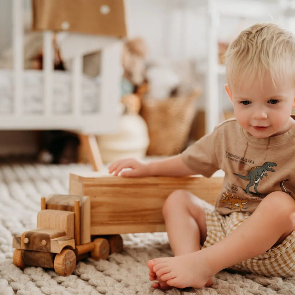 Kids Wooden Cargo Truck QToys