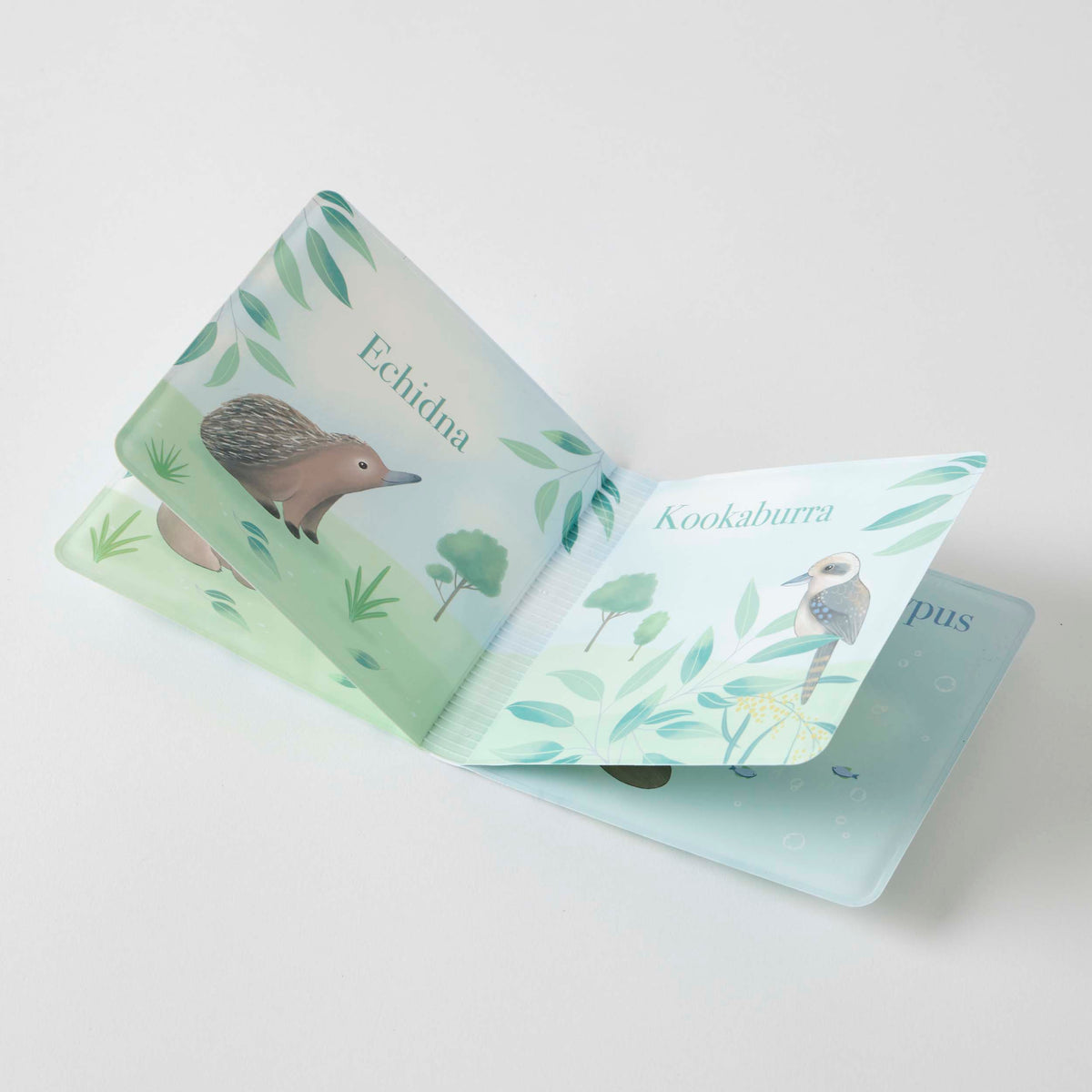 Close-up detail of the Koala Cuddles Bath Book