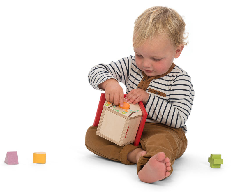 Petilou My Little House Shape Sorter