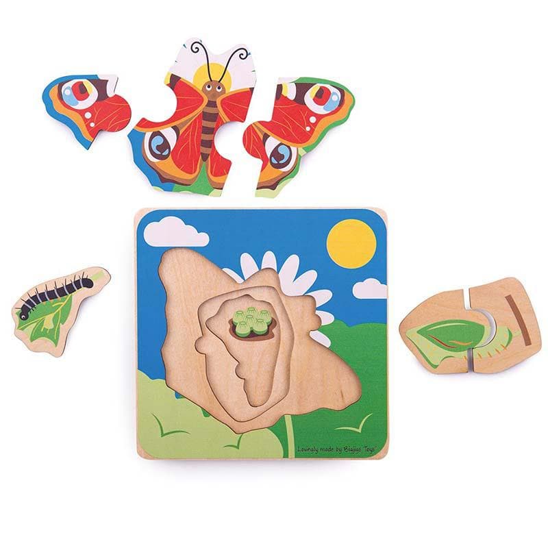 Lifecycle Layer Puzzle - Butterfly