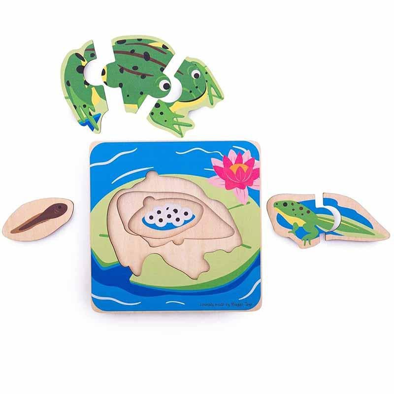 Lifecycle Layer Puzzle - Frog