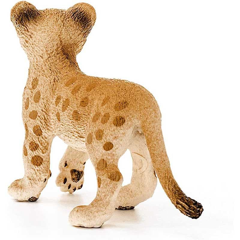 Lion Cub