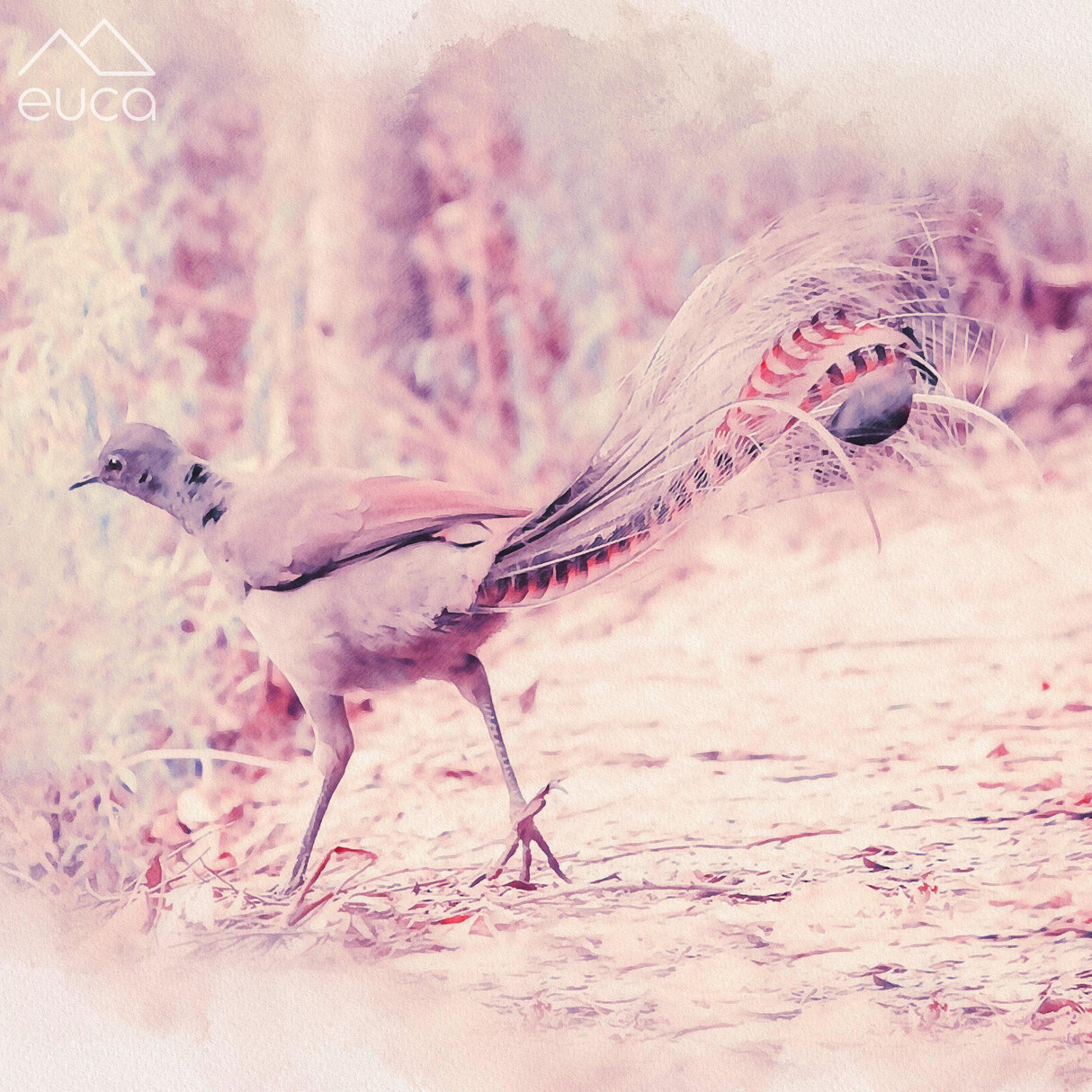 Lyrebird Stacker
