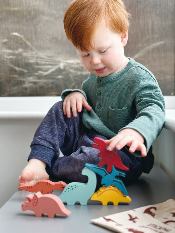 Happy Stacking Dinosaurs Set & Bag