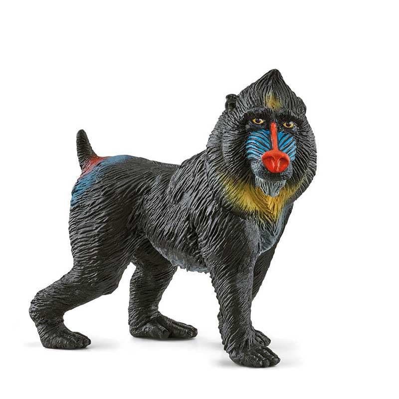Mandrill