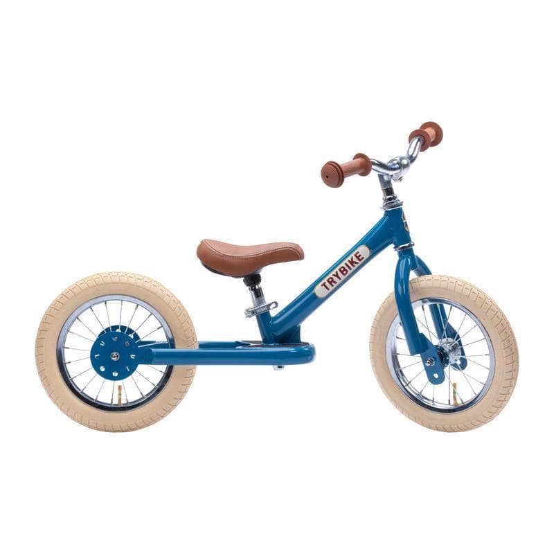 Matte Blue Vintage Trybike