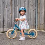 Matte Blue Vintage Trybike