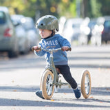Matte Green Vintage Trybike