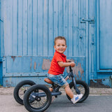 Matte Grey Trybike