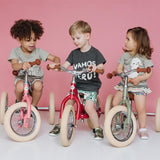 Matte Red Vintage Trybike