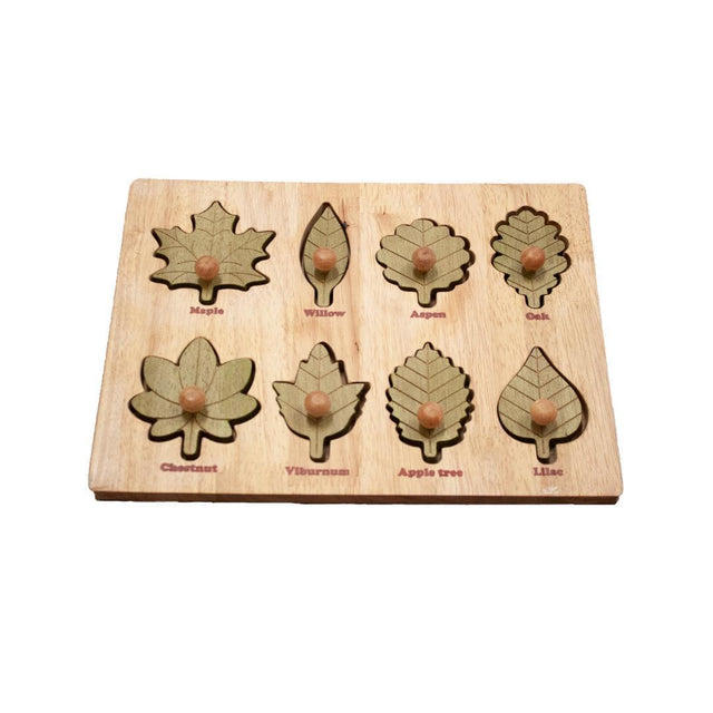 Montessori Leaf Puzzle