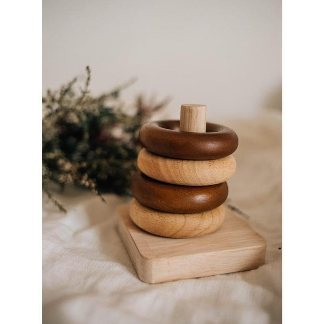 Montessori Sorting Rings