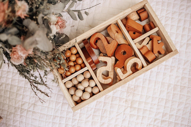 Montessori Sorting Trays Set of 3