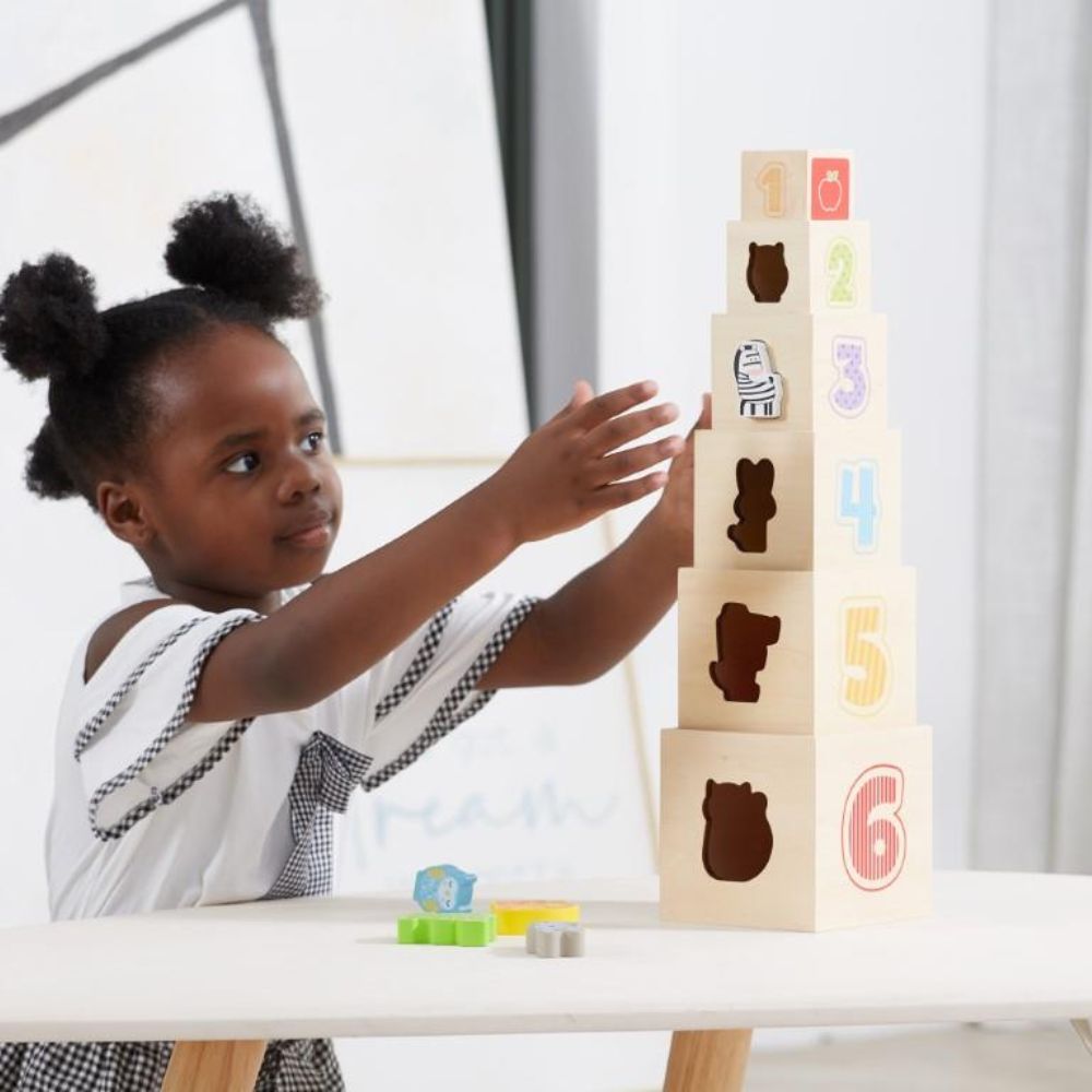 Nesting & Stacking Blocks