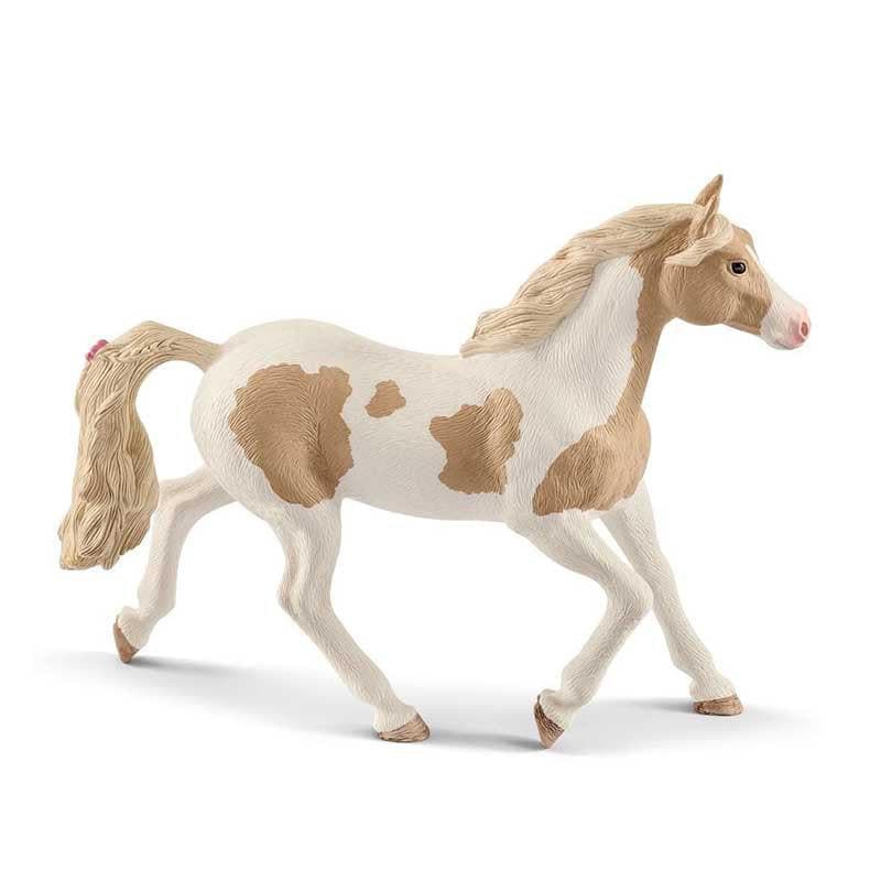Paint Horse mare