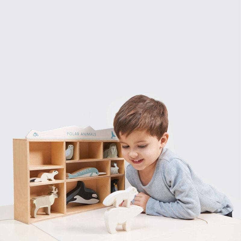 Polar Animals Display Shelf Set