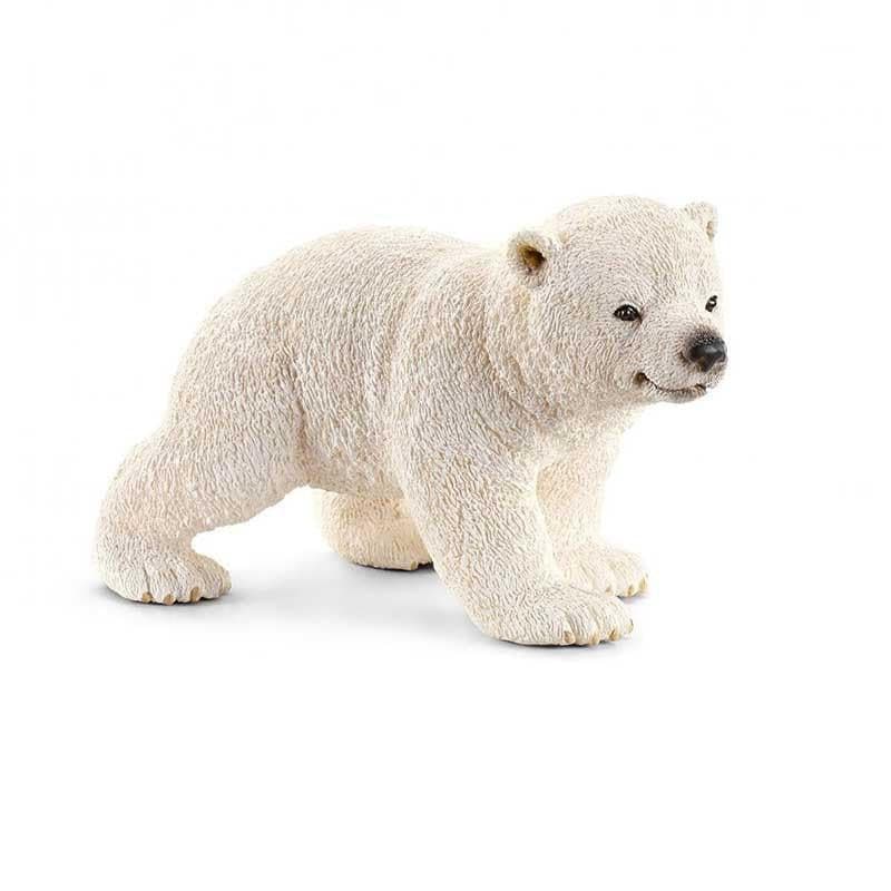 Polar Bear Cub, walking