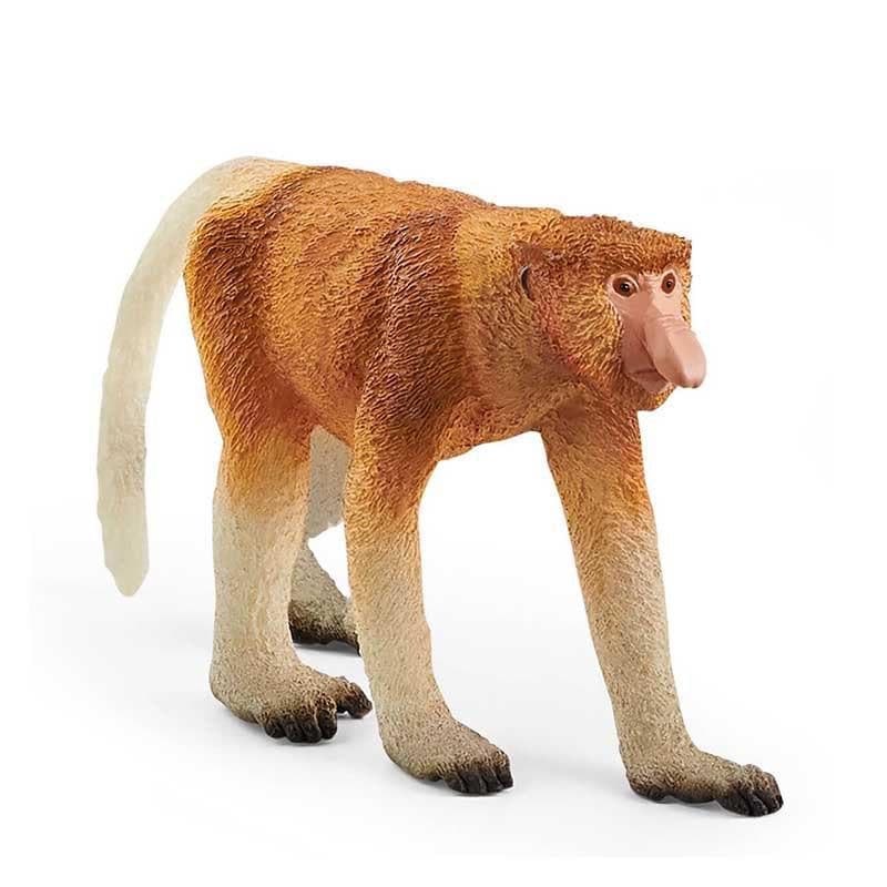 Proboscis Monkey