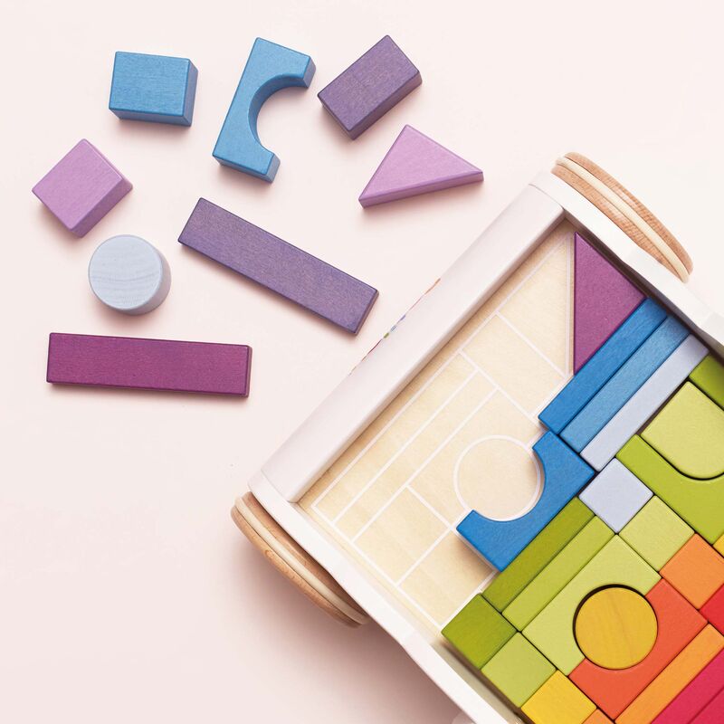 Rainbow Baby Walker & Puzzle - 45 Blocks