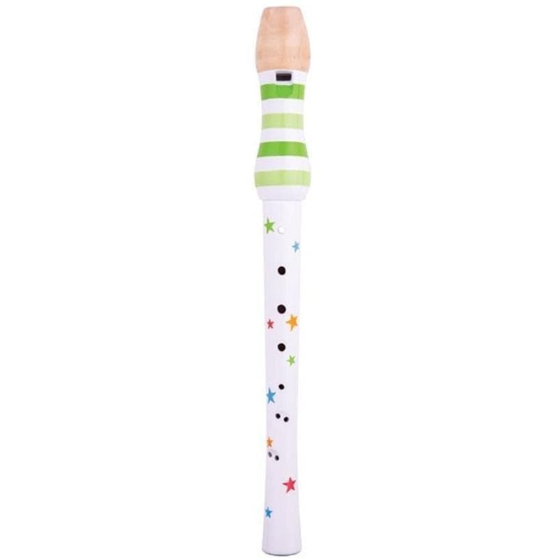 Bigjigs Recorder - Bigjigs Toys educational toy – the first instrument of a lifetime