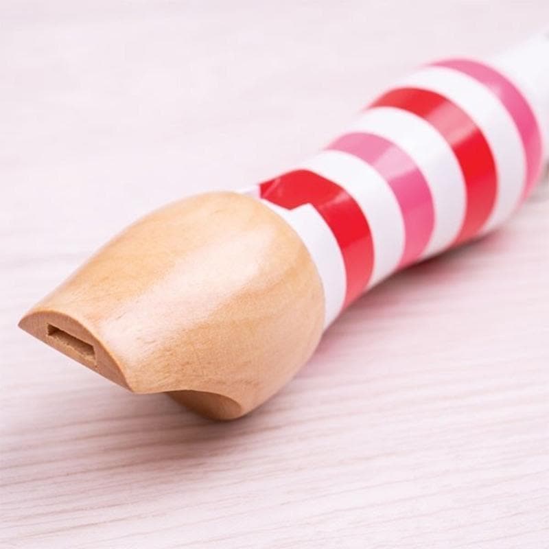Recorder - Bigjigs Toys