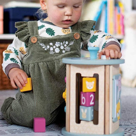 Close-up detail of the Bigjigs Rolling Activity Sorter baby and toddler toy