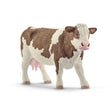 Simmental Cow