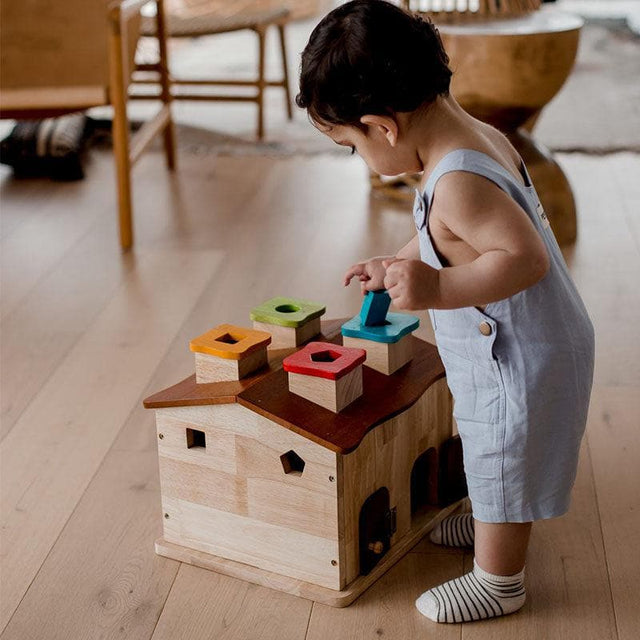 Sorting Cottage & Play House