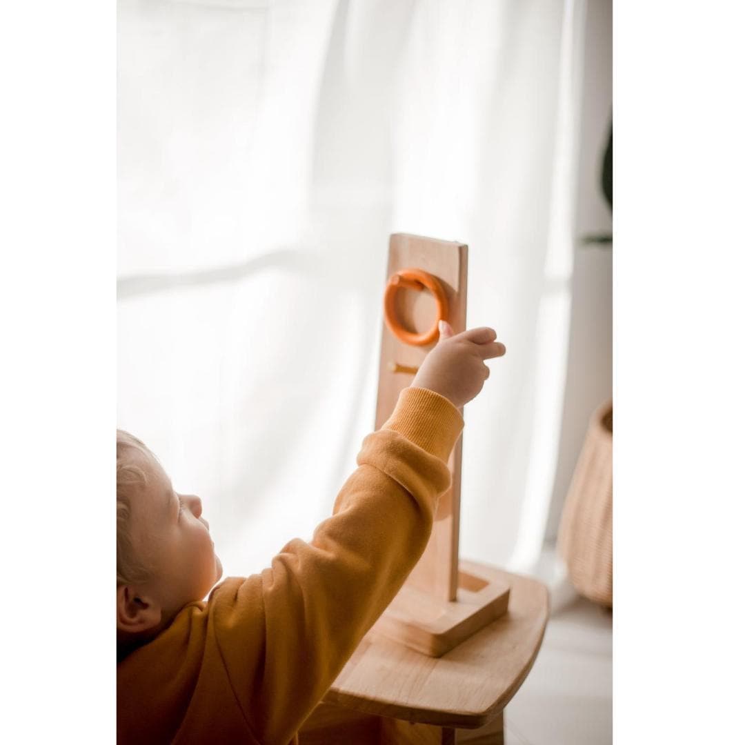 Sorting Ring Toss