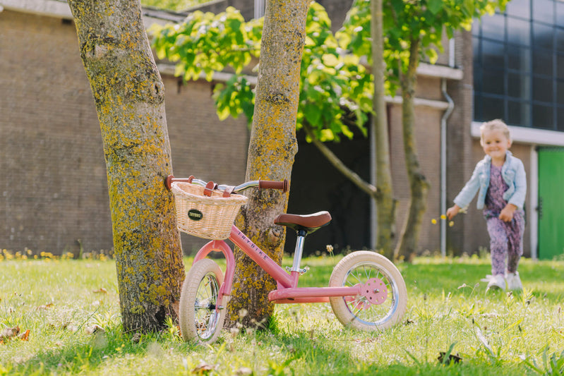 Steel Trybike Basket