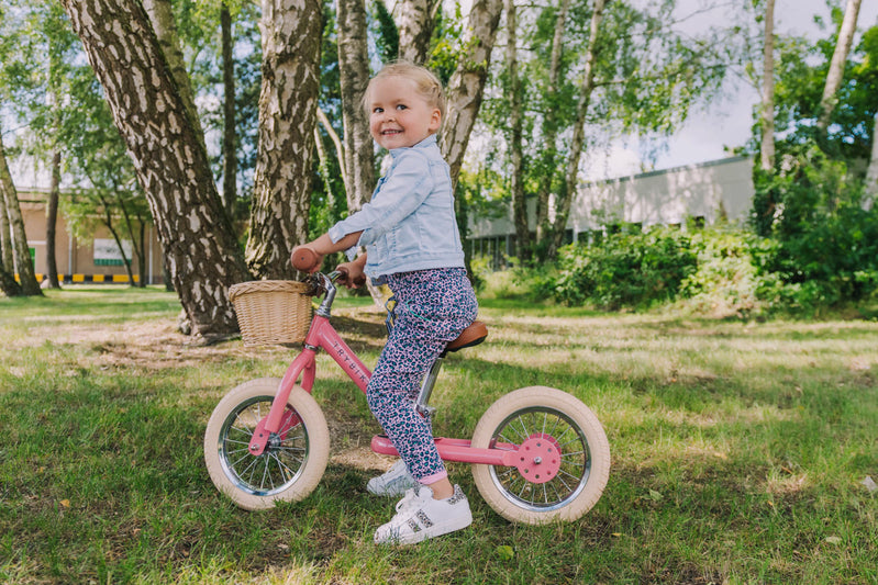Steel Trybike Basket