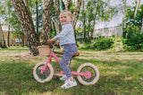 Steel Trybike Basket