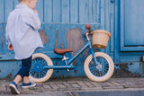 Matte Blue Vintage Trybike