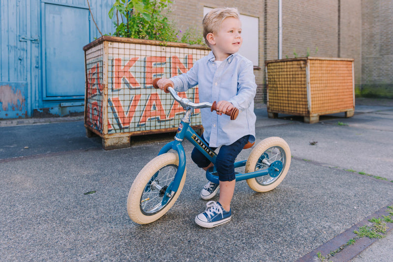 Matte Blue Vintage Trybike