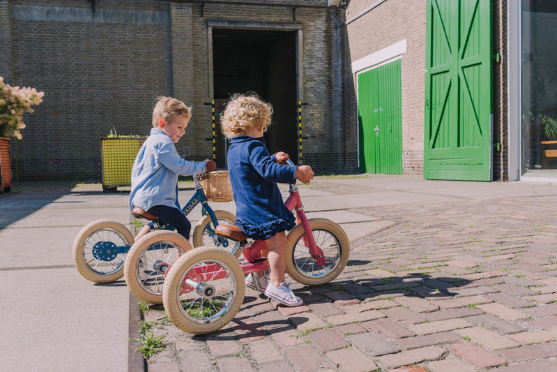 Matte Blue Vintage Trybike