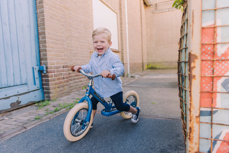 Matte Blue Vintage Trybike