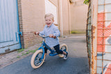 Matte Blue Vintage Trybike