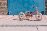 Matte Pink Vintage Trybike