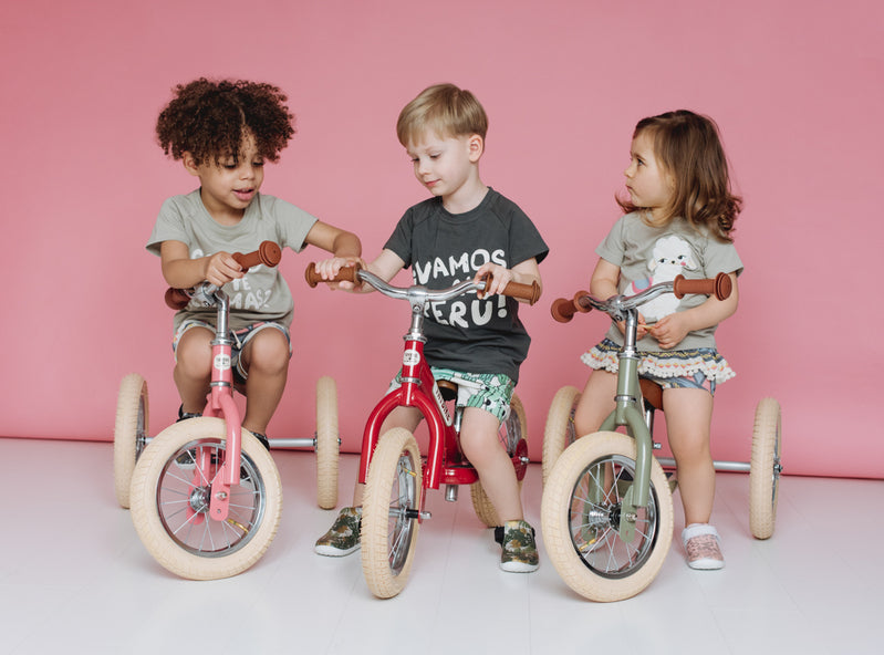 Matte Pink Vintage Trybike