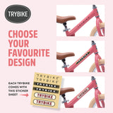 Matte Pink Vintage Trybike