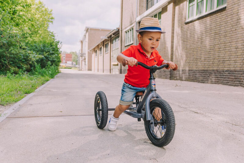 Matte Grey Trybike