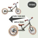 Matte Green Vintage Trybike