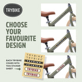 Matte Green Vintage Trybike