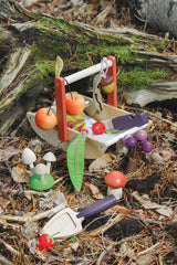 Wild Food Foraging Trug