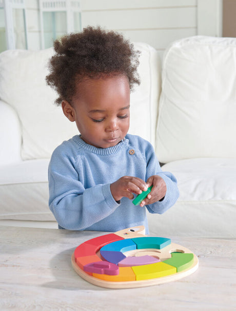 Colour Me Happy - Wooden Worm Puzzle