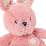 Oh So Snuggly Littles : Bunny