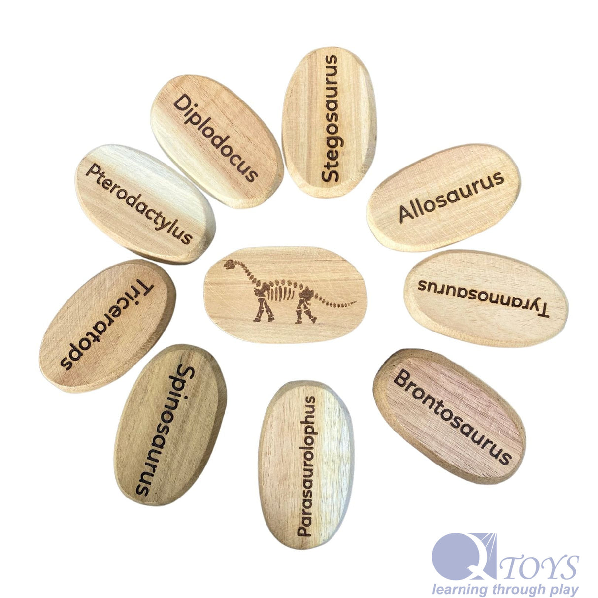 Dinosaur Stones Set of 10